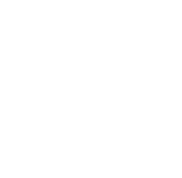 icon revenue