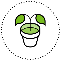 Icon of a plant growing in a pot